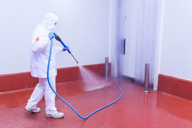Best Driveway Pressure Washing  in Johnson, AR